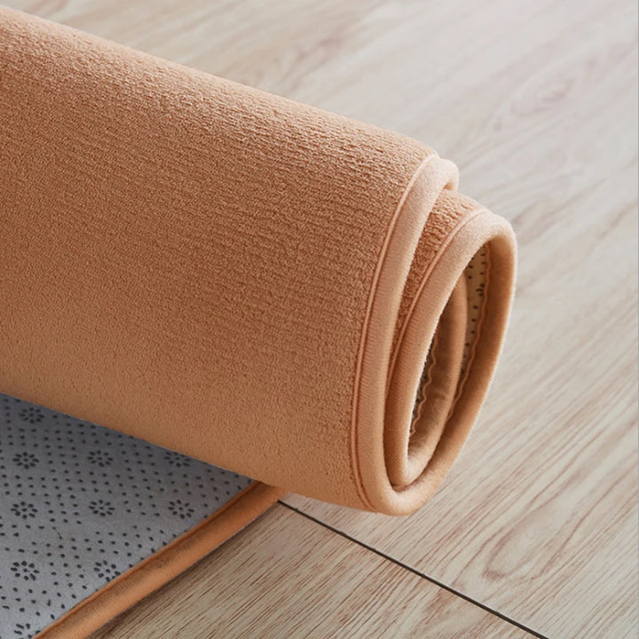 Coral Fleece Round Rug for Modern Living Spaces