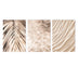 Nordic Beige Palm Leaf Canvas – Modern Wall Art Trio