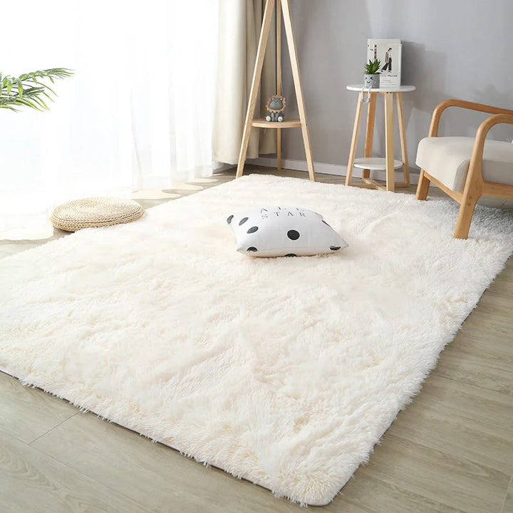 Long Plush Modern Soft Rug for Living Room