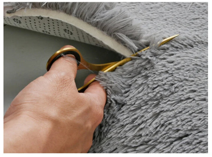 Long Plush Modern Soft Rug for Living Room