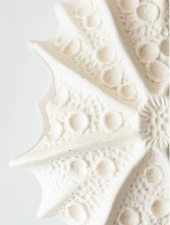 Sea Urchin Ceramic Vase – Modern Home Centerpiece