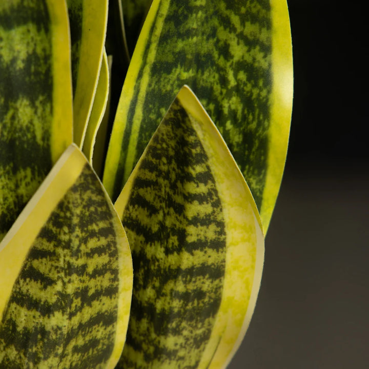 Artificial Aloe Vera Plant – 32/37cm Fake Succulent Decor