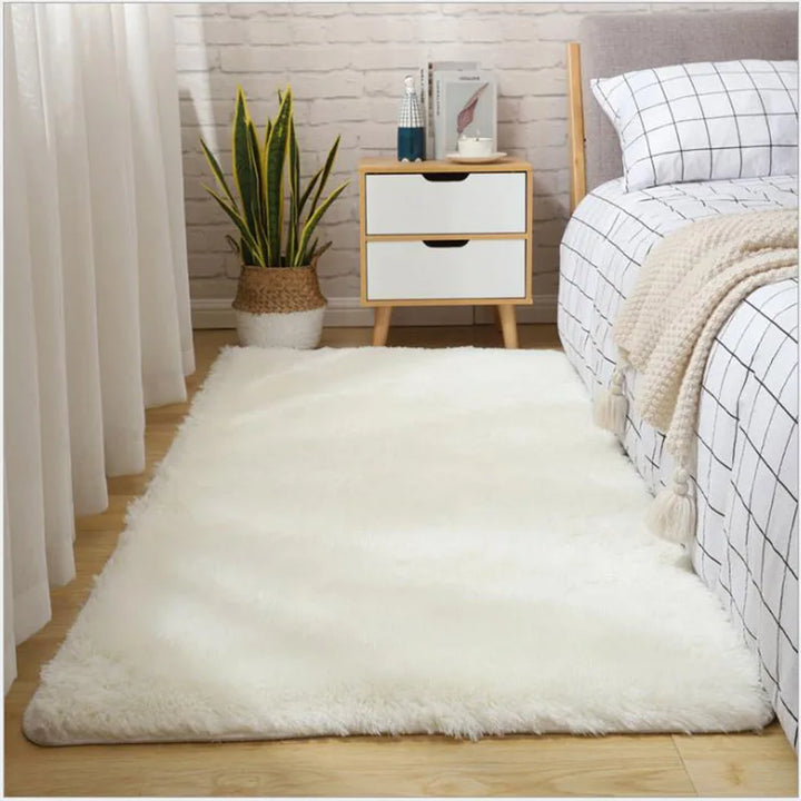 Thick Fluffy Plush Rug for Living Room and Bedroom