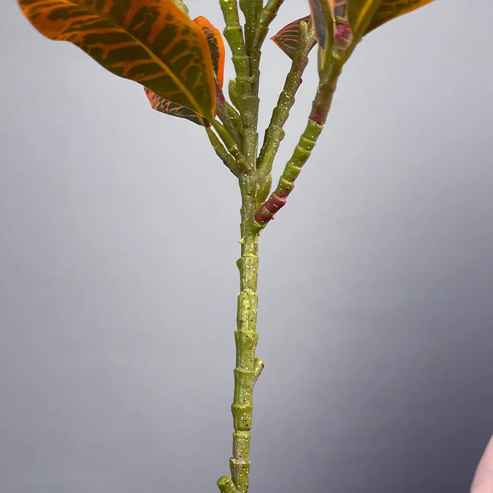 Large Artificial Tropical Plant Branch – Real Touch Magnolia Leaves