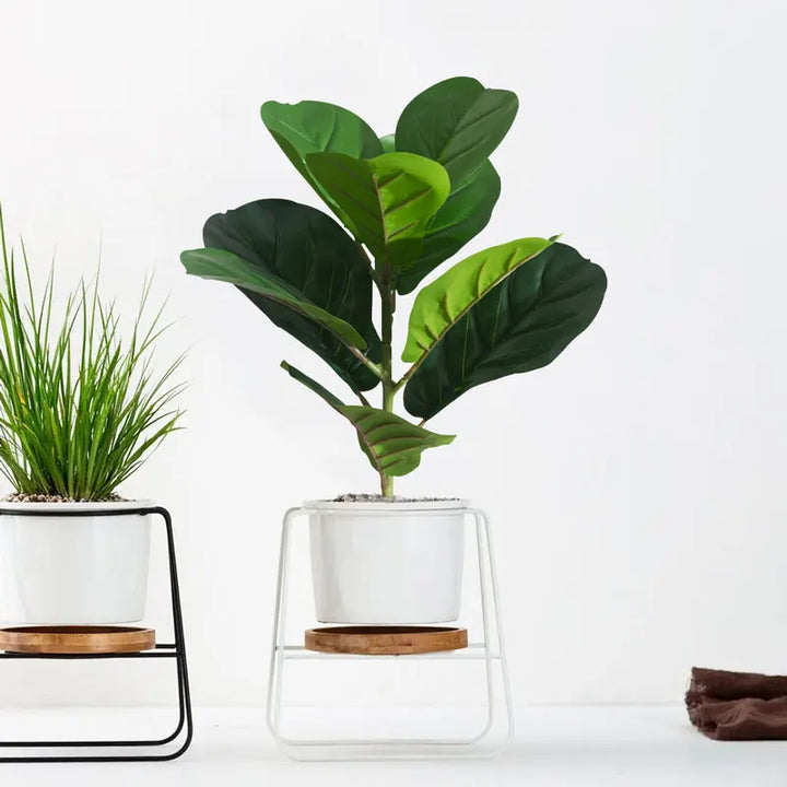 38cm Artificial Ficus Plant – Small Desk & Home Decor