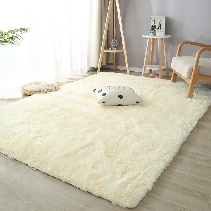 Long Plush Modern Soft Rug for Living Room