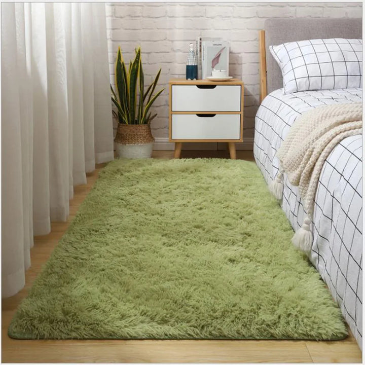 Thick Fluffy Plush Rug for Living Room and Bedroom