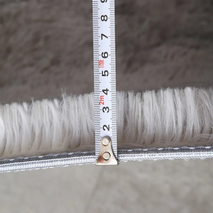 Long Plush Modern Soft Rug for Living Room