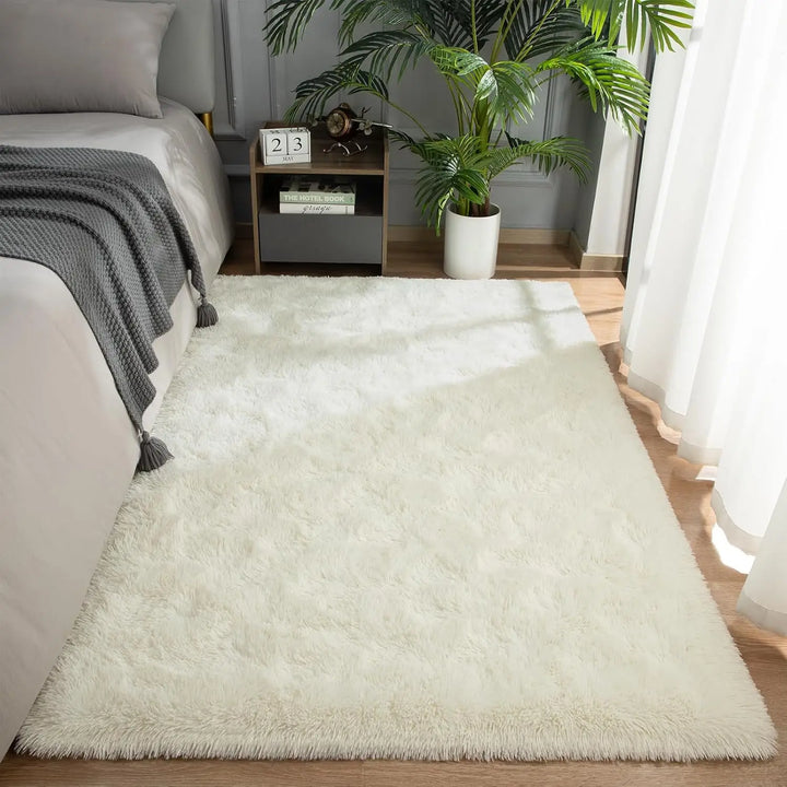 Thick Fluffy Plush Rug for Living Room and Bedroom