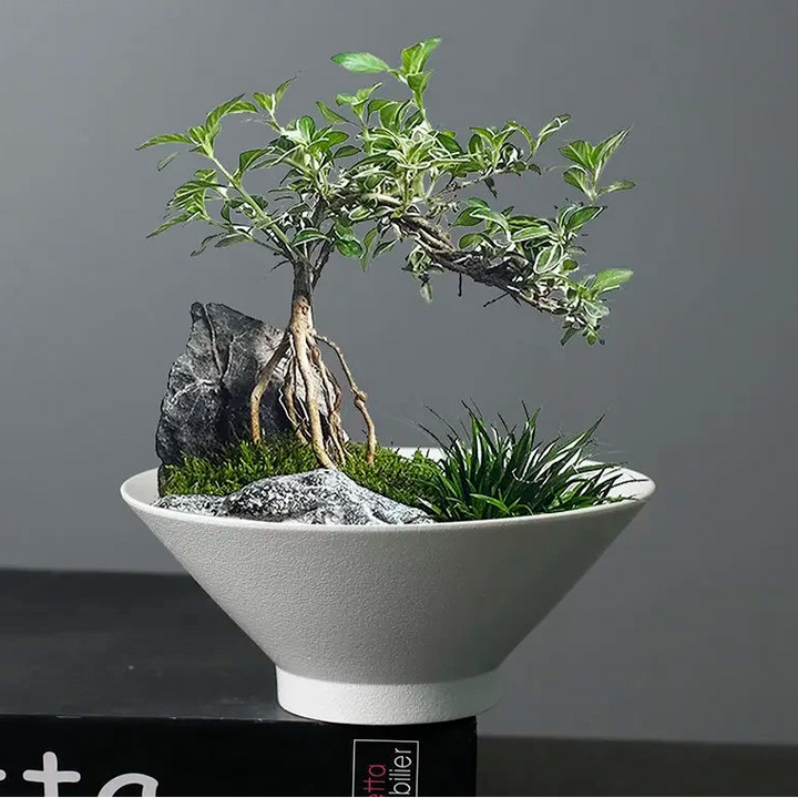 Minimalist Ceramic Vase – Modern Desk & Flower Pot Decor