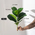 38cm Artificial Ficus Plant – Small Desk & Home Decor