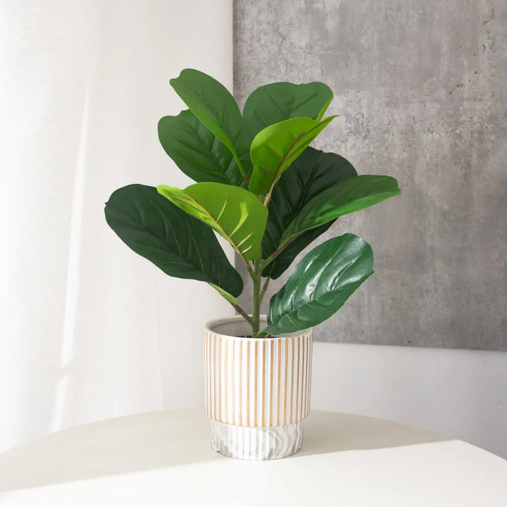 38cm Artificial Ficus Plant – Small Desk & Home Decor