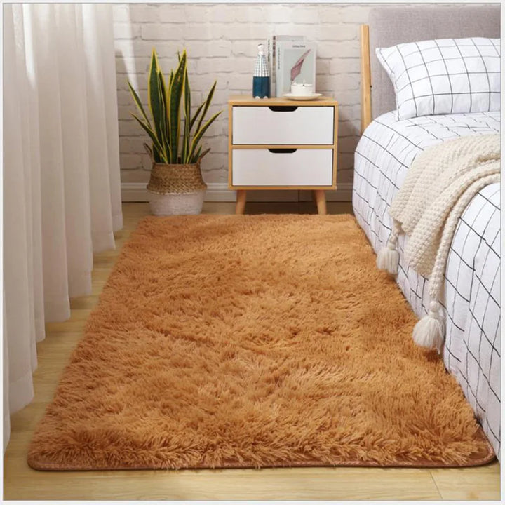 Thick Fluffy Plush Rug for Living Room and Bedroom