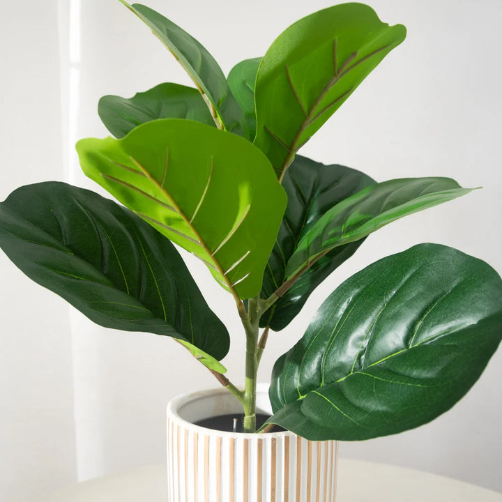 38cm Artificial Ficus Plant – Small Desk & Home Decor